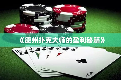 《德州扑克大师的盈利秘籍》